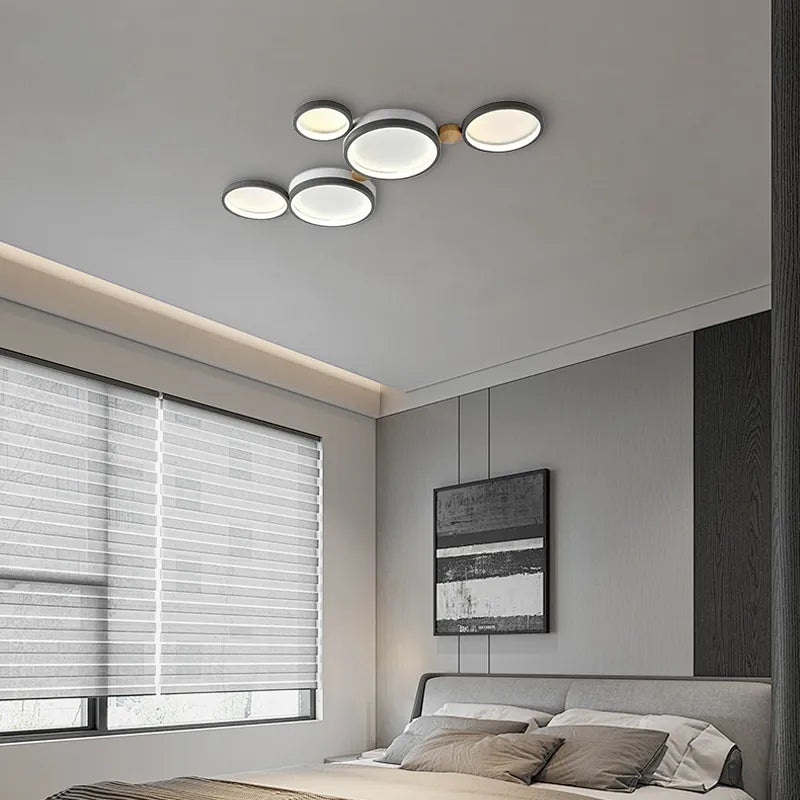 Modern Round Ceiling Light